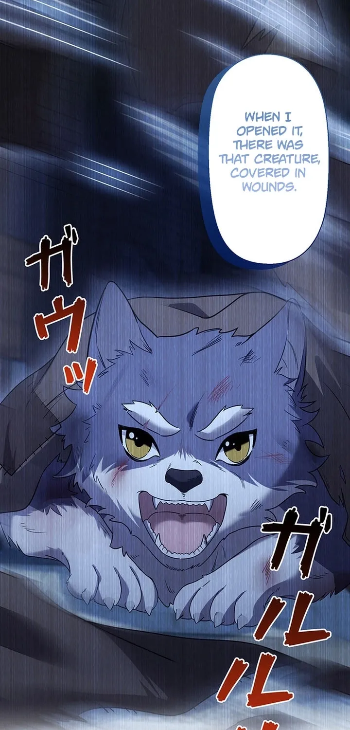 I Was Cast Aside, but Is It Really Okay to Be This Adored? Chapter 14 page 60 - 
