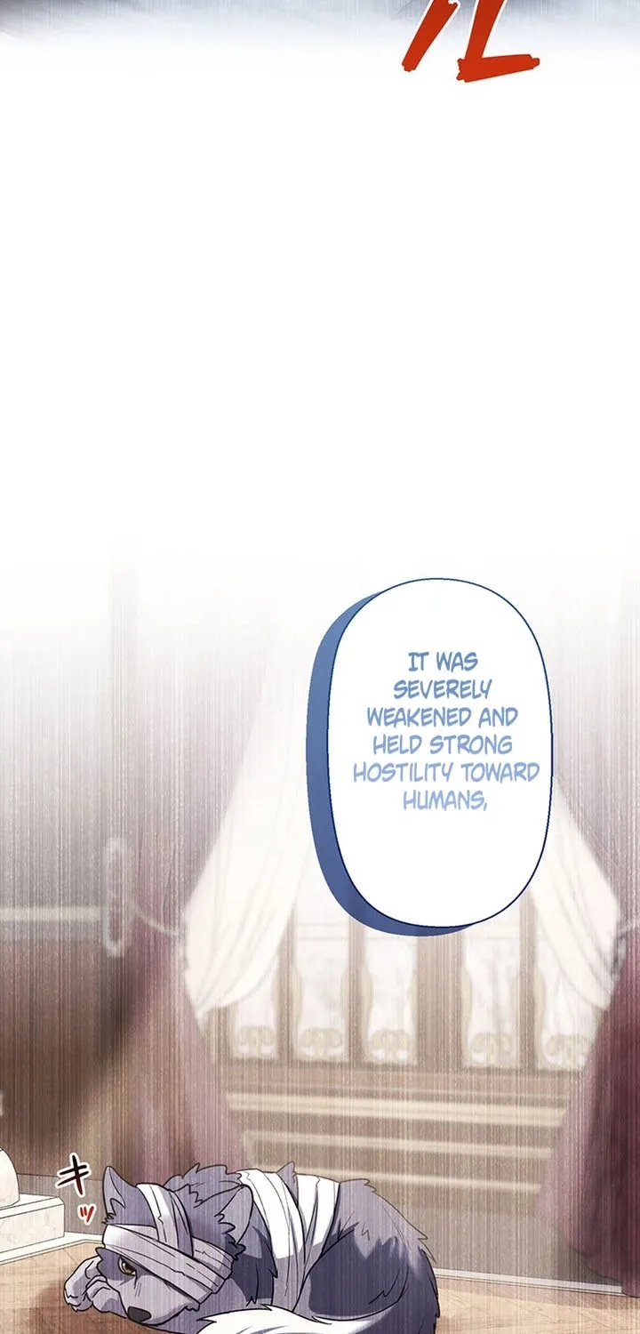 I Was Cast Aside, but Is It Really Okay to Be This Adored? Chapter 14 page 61 - 