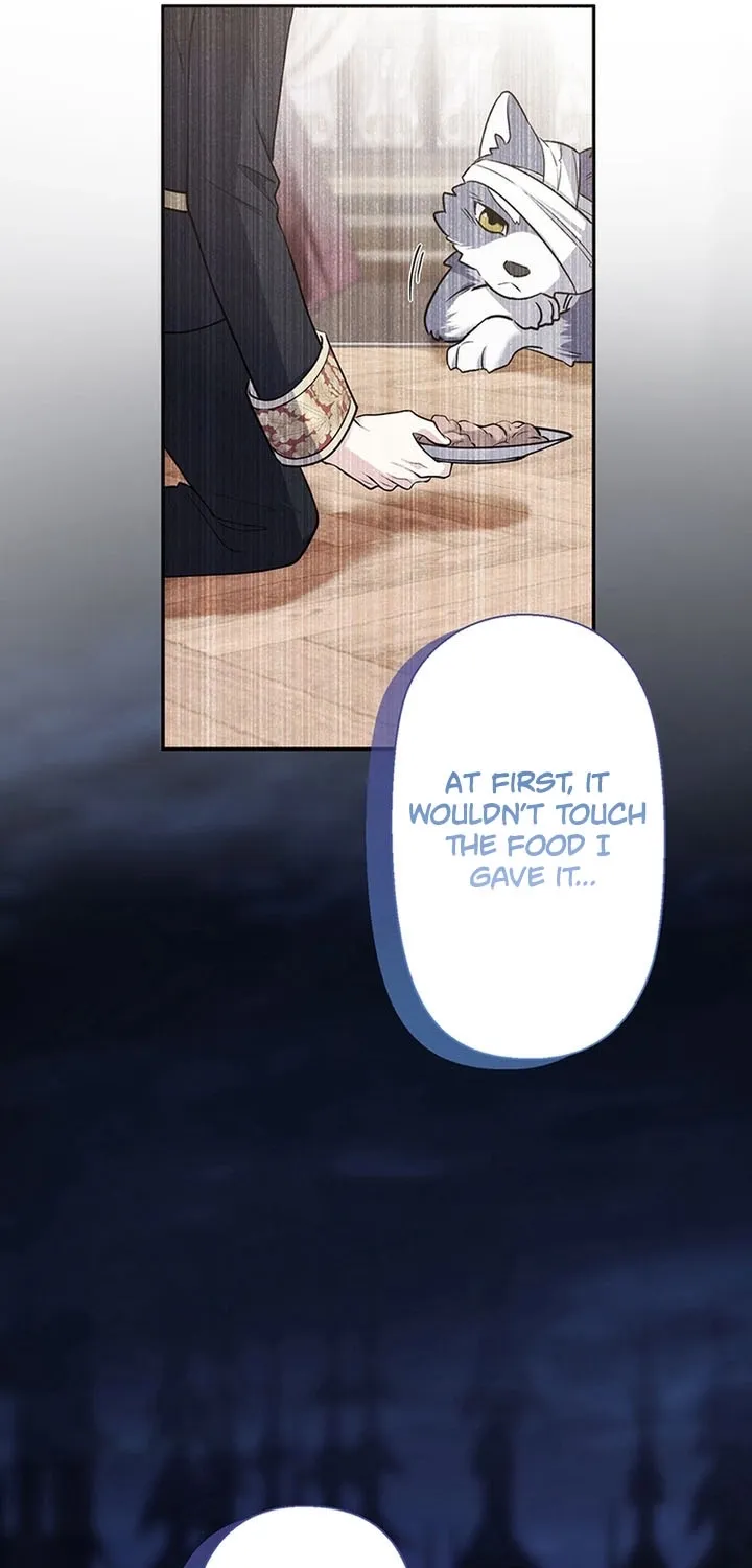 I Was Cast Aside, but Is It Really Okay to Be This Adored? Chapter 14 page 63 - 