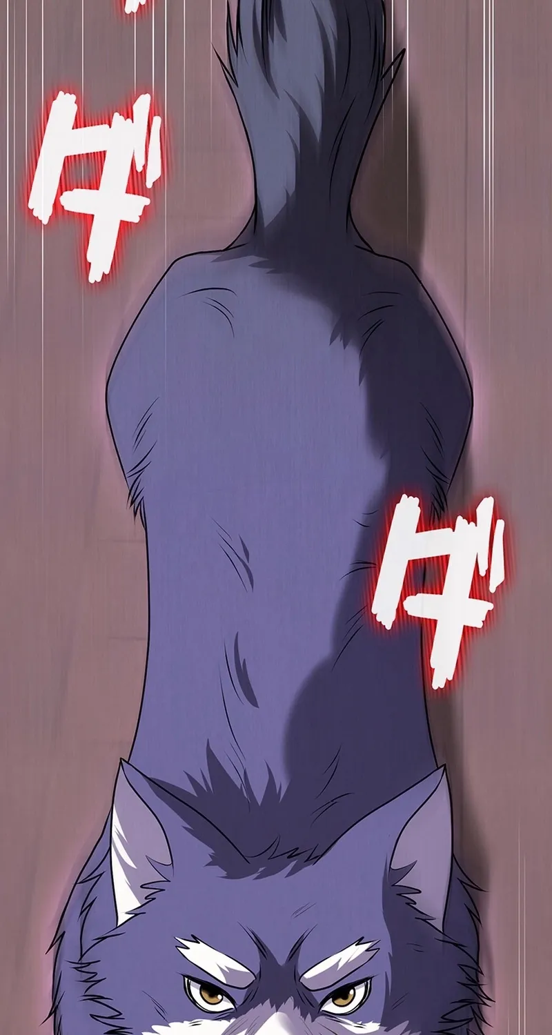 I Was Cast Aside, but Is It Really Okay to Be This Adored? Chapter 17 page 78 - 