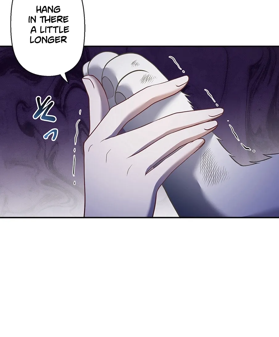 I Was Cast Aside, but Is It Really Okay to Be This Adored? Chapter 2 page 44 - 