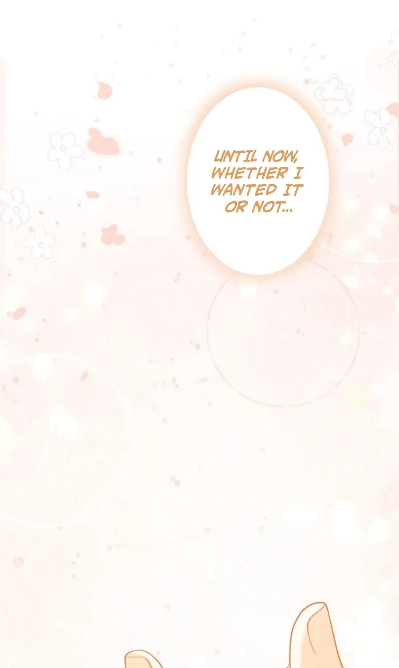 I Was Cast Aside, but Is It Really Okay to Be This Adored? Chapter 21 page 85 - 