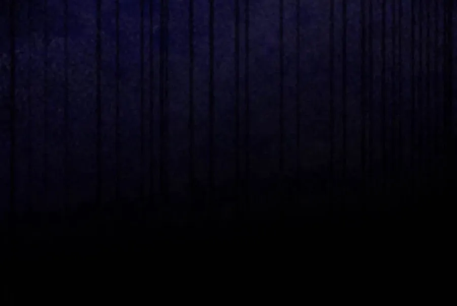 I Was Cast Aside, but Is It Really Okay to Be This Adored? Chapter 22 page 20 - 