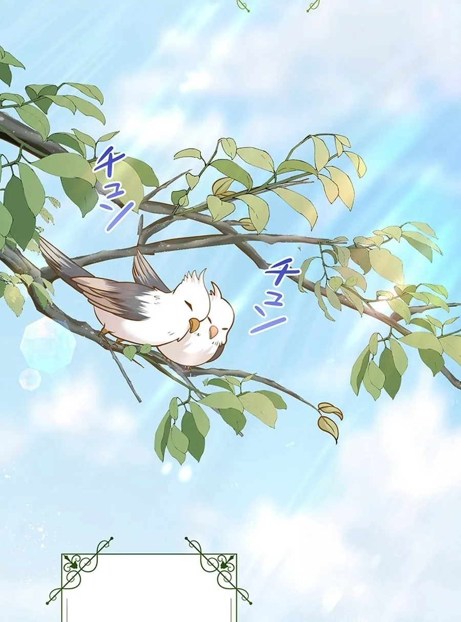 I Was Cast Aside, but Is It Really Okay to Be This Adored? Chapter 22 page 85 - 