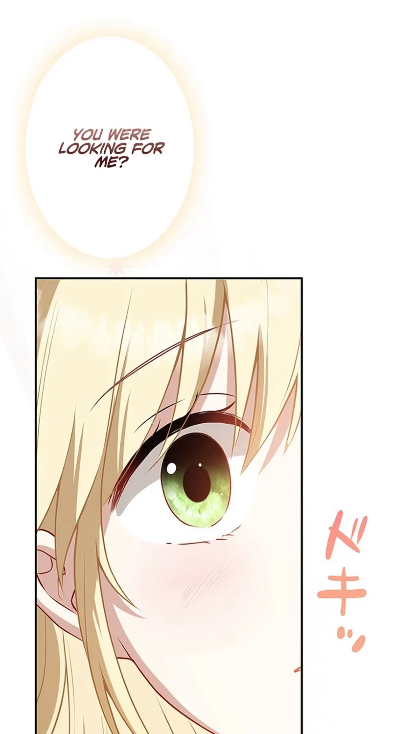 I Was Cast Aside, but Is It Really Okay to Be This Adored? Chapter 3 page 45 - 