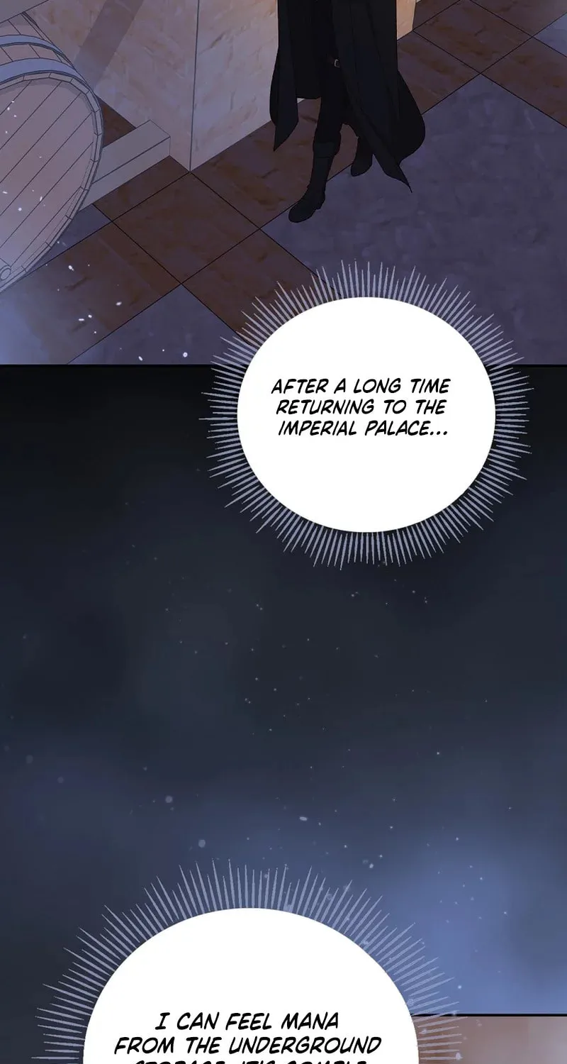 I Was Just Having Fun With the Time Limit Chapter 20 page 100 - 