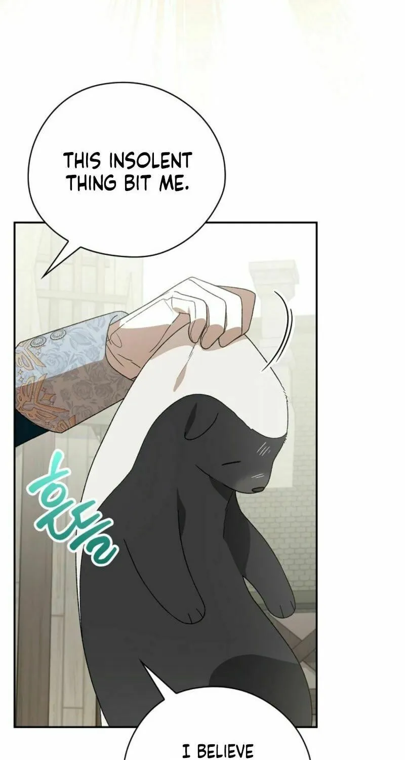 I Was Just Having Fun With the Time Limit Chapter 43 page 27 - 
