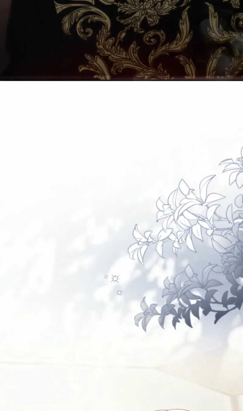 I Was Meant to Die in Six Months, But I Made the Tyrant Emperor Fall for Me Chapter 14 page 151 - 