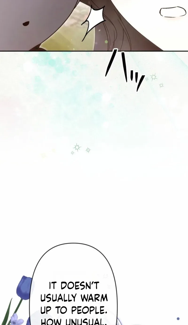 I Was Meant to Die in Six Months, But I Made the Tyrant Emperor Fall for Me Chapter 16 page 53 - 
