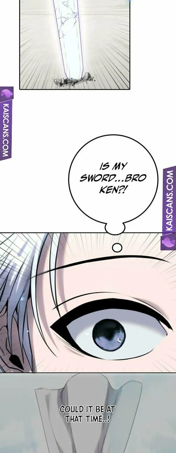 I Was More Overpowered Than the Hero, so I Hid My Power! Chapter 26 page 46 - 