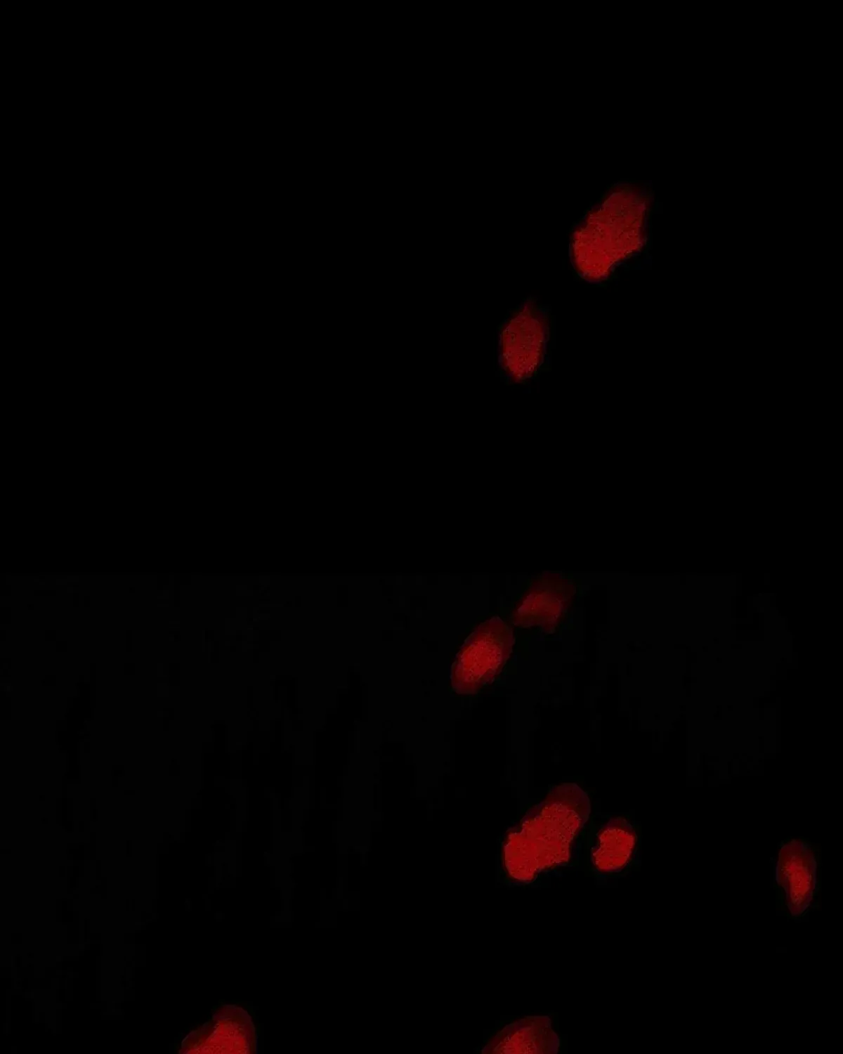 I Was Possessed, but It Became a Ghost Story Chapter 1.1 page 164 - 