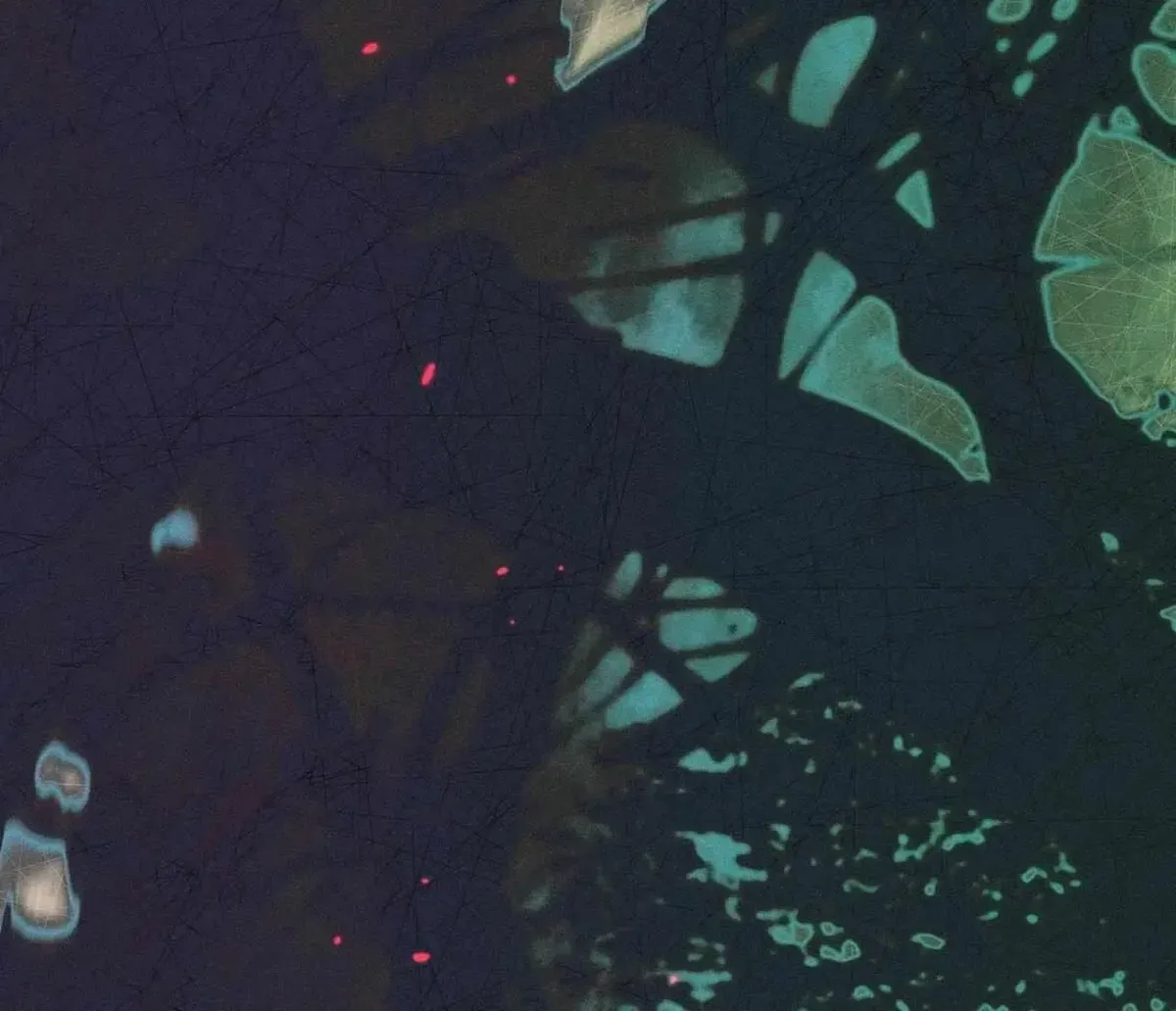 I Was Possessed, but It Became a Ghost Story Chapter 1.1 page 171 - 