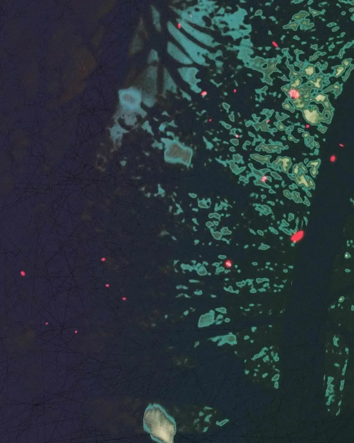 I Was Possessed, but It Became a Ghost Story Chapter 1.1 page 172 - 