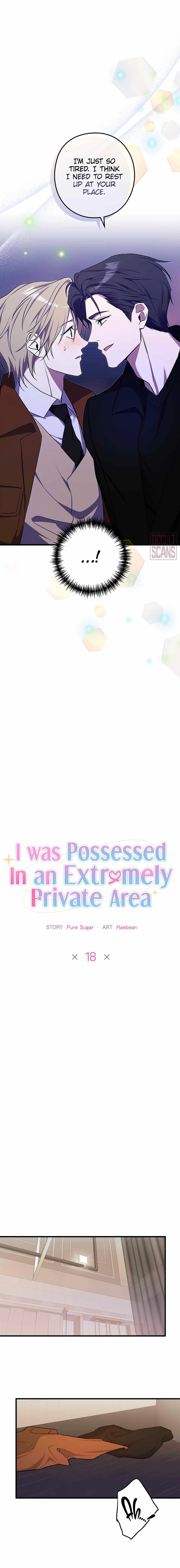 I Was Possessed in an Extremely Private Area Chapter 18 page 8 - 