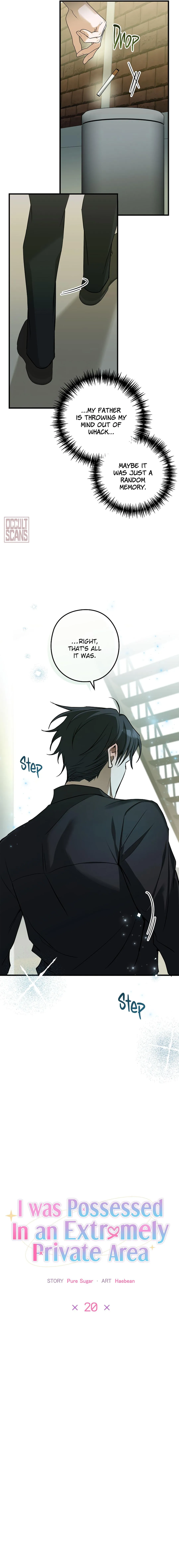 I Was Possessed in an Extremely Private Area Chapter 20 page 10 - 