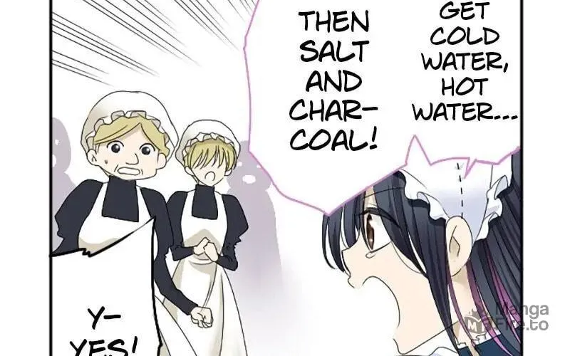 I Was Reborn as a Housekeeper in a Parallel World! Chapter 11 page 12 - 