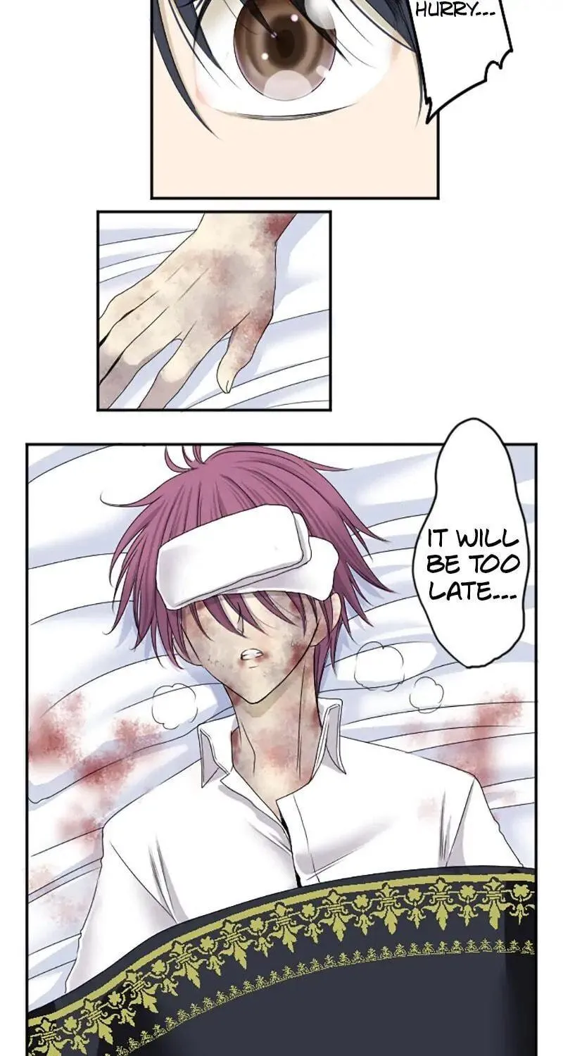 I Was Reborn as a Housekeeper in a Parallel World! Chapter 11 page 5 - 