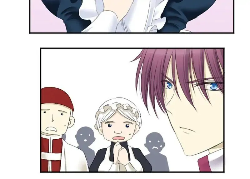 I Was Reborn as a Housekeeper in a Parallel World! Chapter 12 page 15 - 