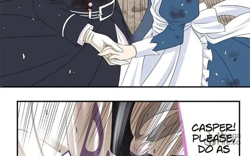 I Was Reborn as a Housekeeper in a Parallel World! Chapter 17 page 29 - 