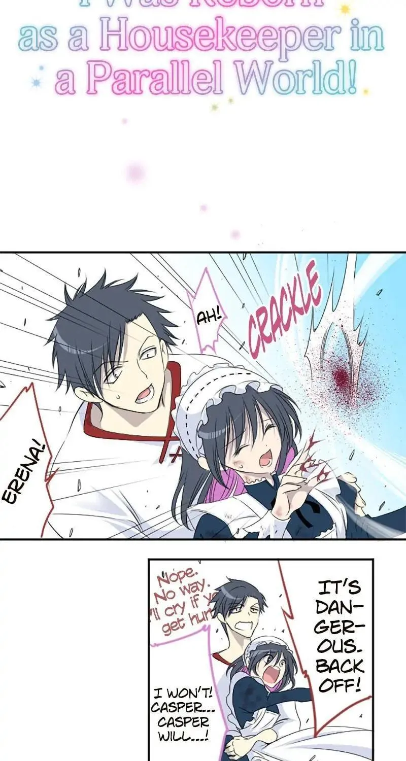 I Was Reborn as a Housekeeper in a Parallel World! Chapter 17 page 5 - 