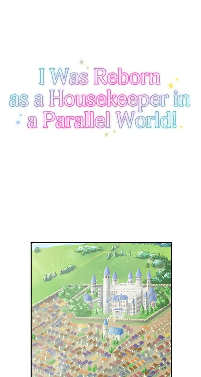 I Was Reborn as a Housekeeper in a Parallel World! Chapter 19 page 1 - 