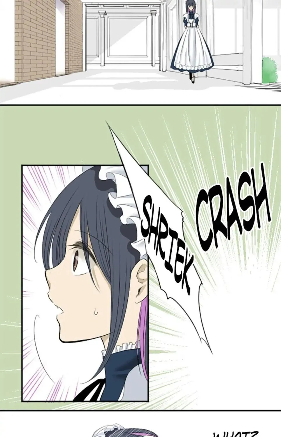 I Was Reborn as a Housekeeper in a Parallel World! Chapter 2 page 79 - 