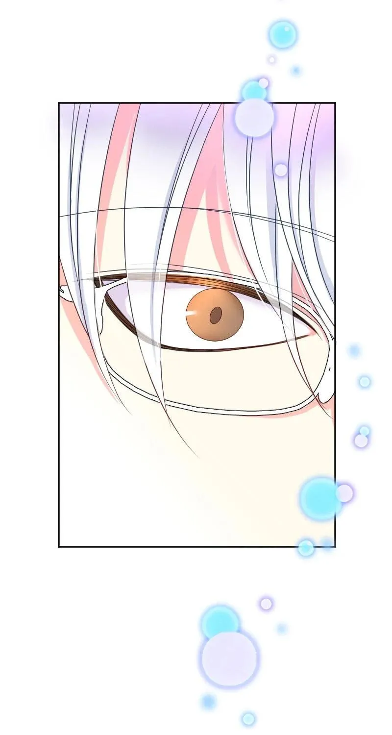 I Was Reborn as a Housekeeper in a Parallel World! Chapter 202 page 71 - 