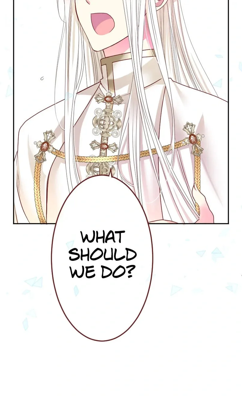 I Was Reborn as a Housekeeper in a Parallel World! Chapter 203 page 42 - 