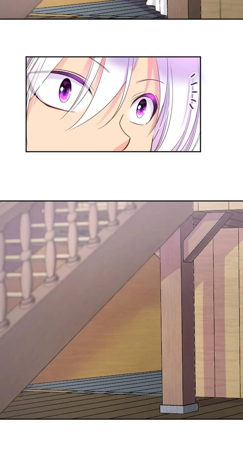 I Was Reborn as a Housekeeper in a Parallel World! Chapter 204 page 11 - 