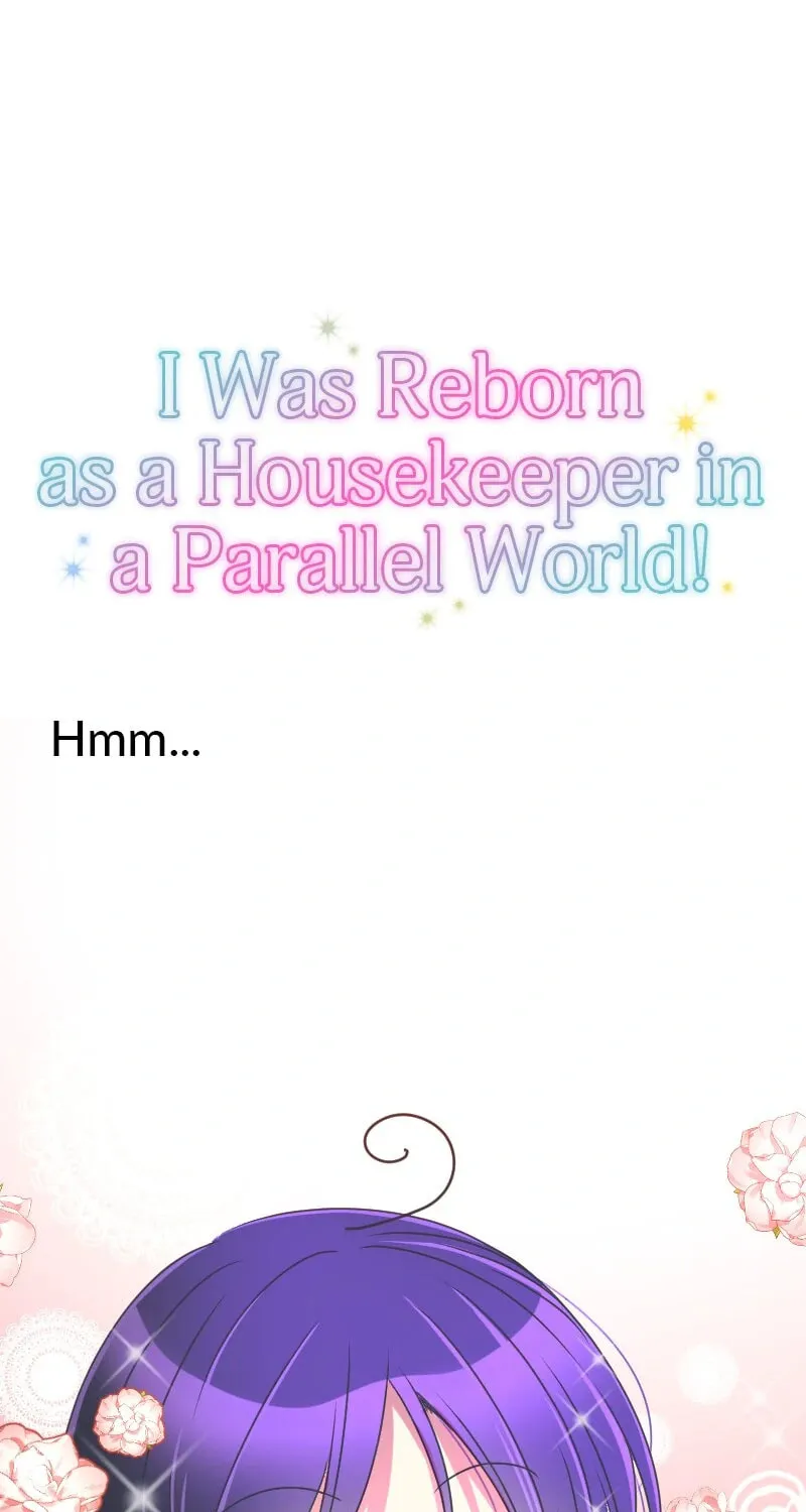 I Was Reborn as a Housekeeper in a Parallel World! Chapter 207 page 133 - 