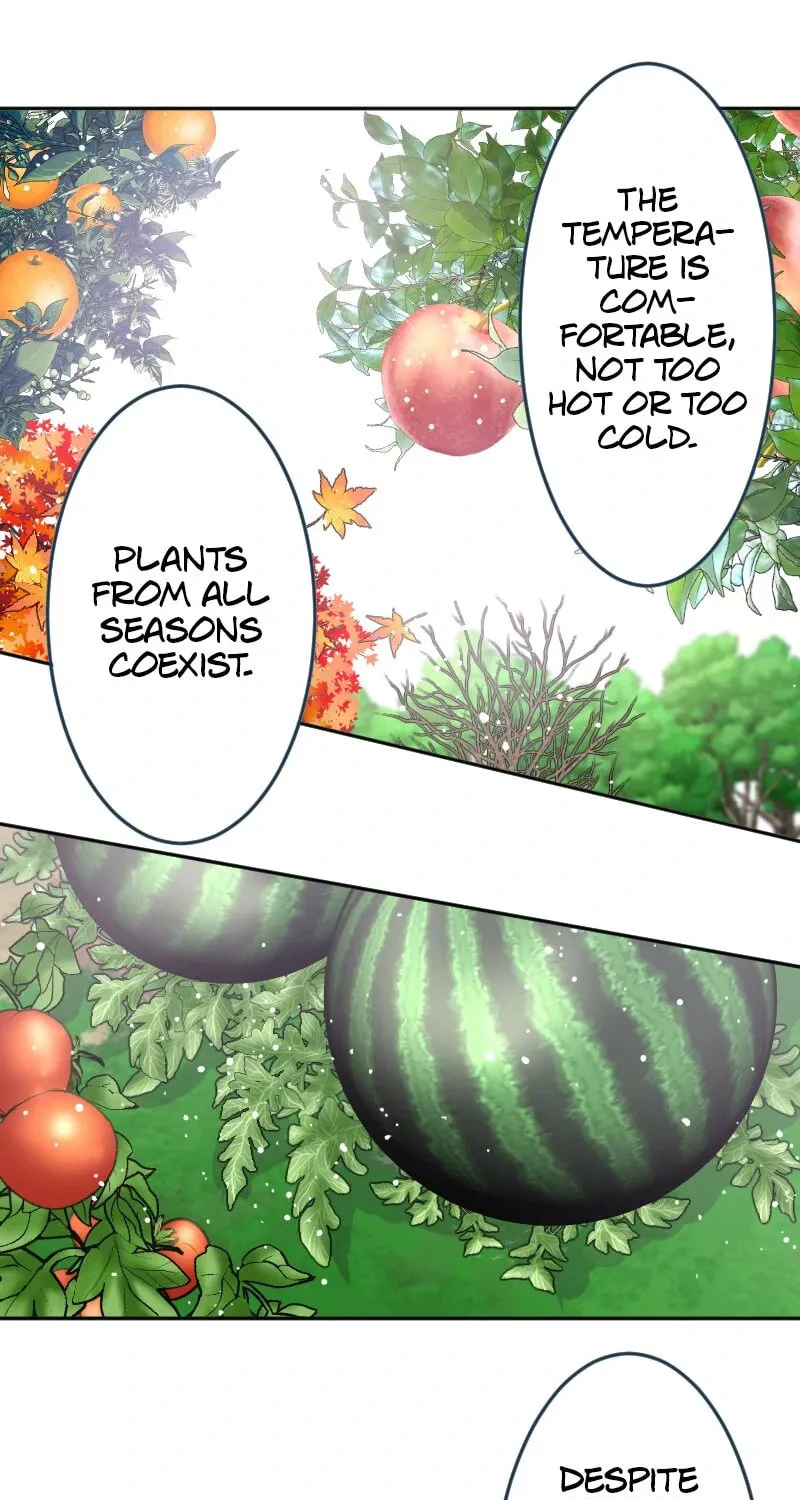 I Was Reborn as a Housekeeper in a Parallel World! Chapter 208 page 12 - 