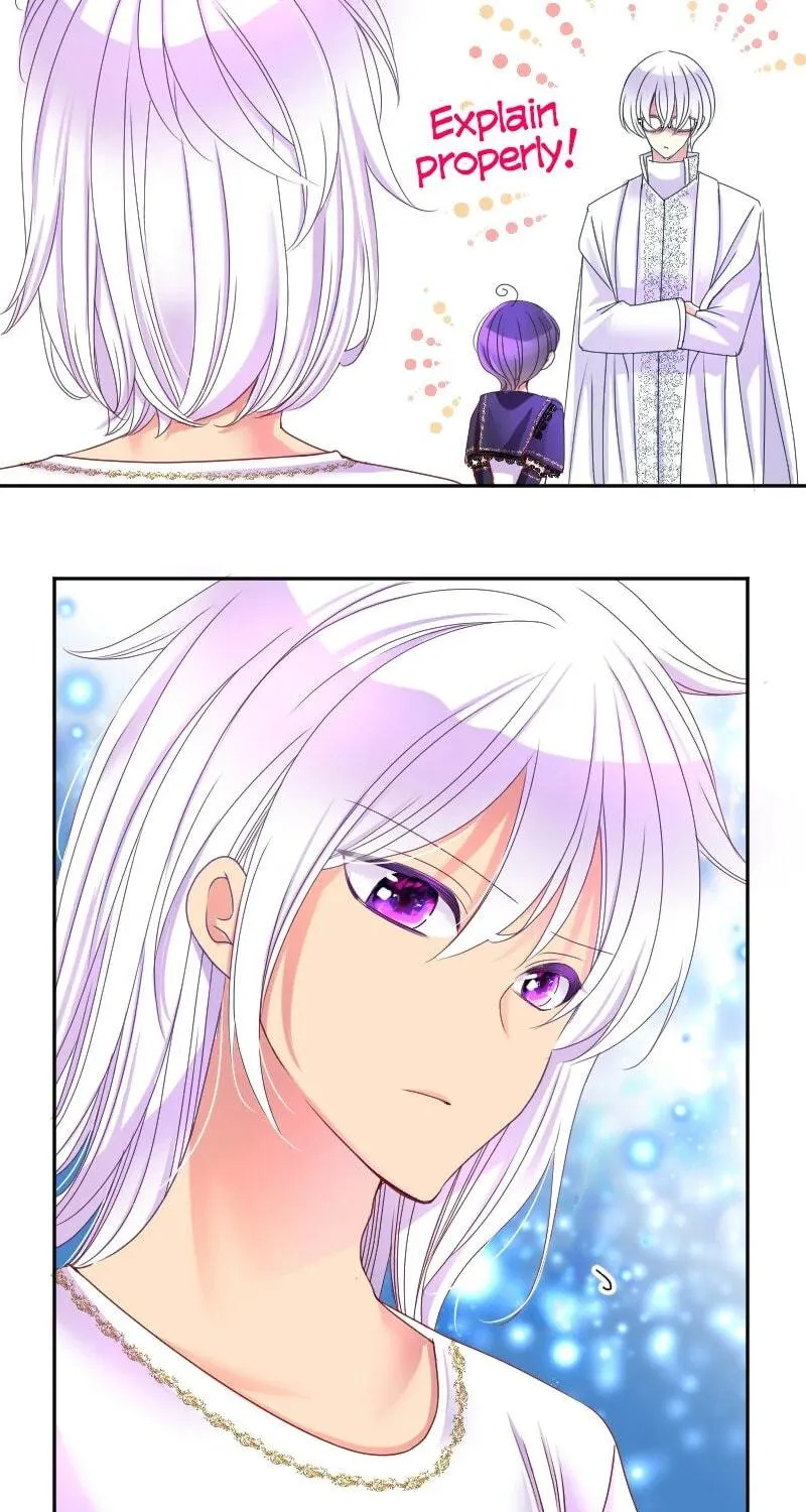 I Was Reborn as a Housekeeper in a Parallel World! Chapter 209 page 5 - 
