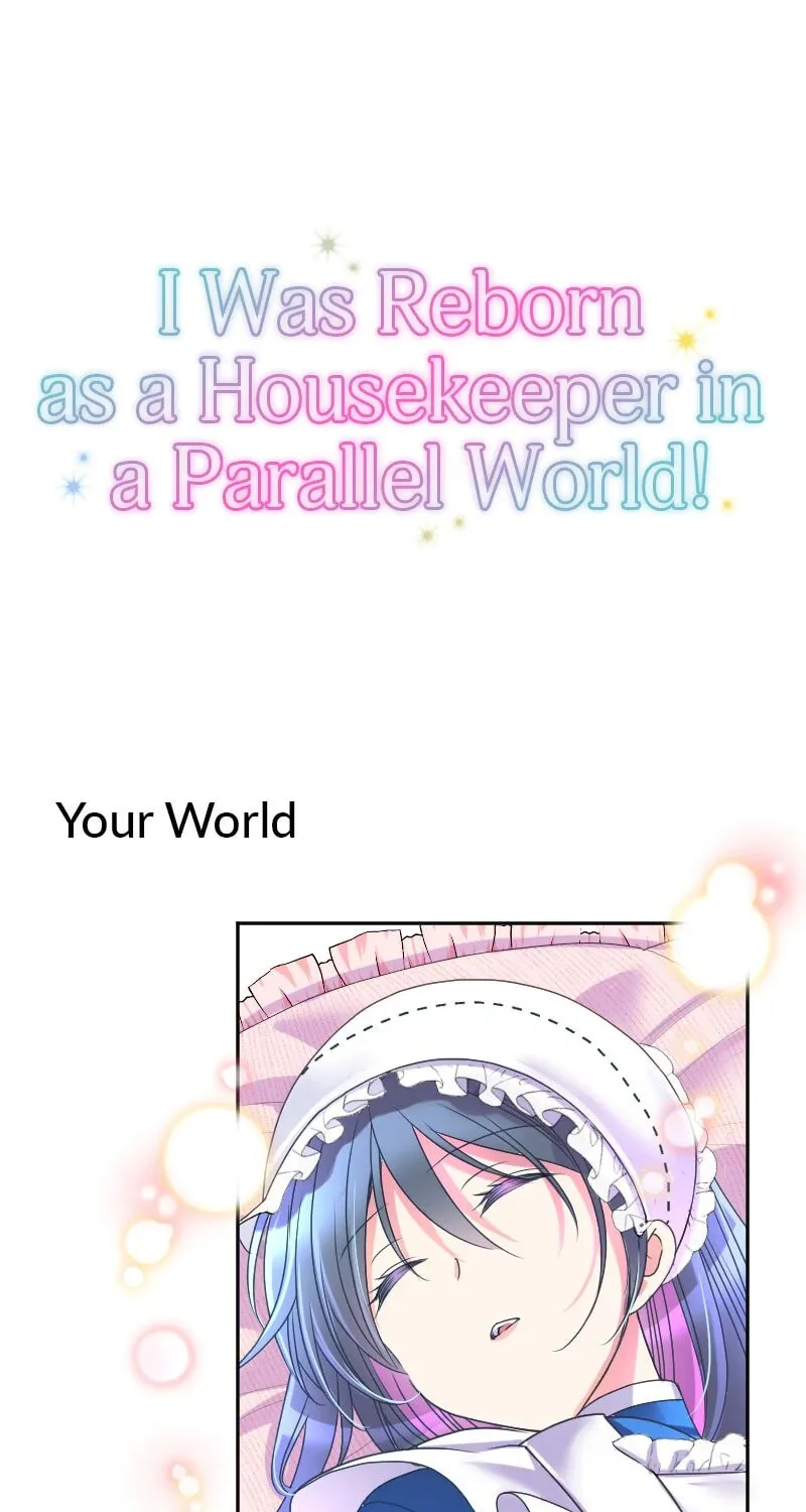 I Was Reborn as a Housekeeper in a Parallel World! Chapter 210 page 113 - 