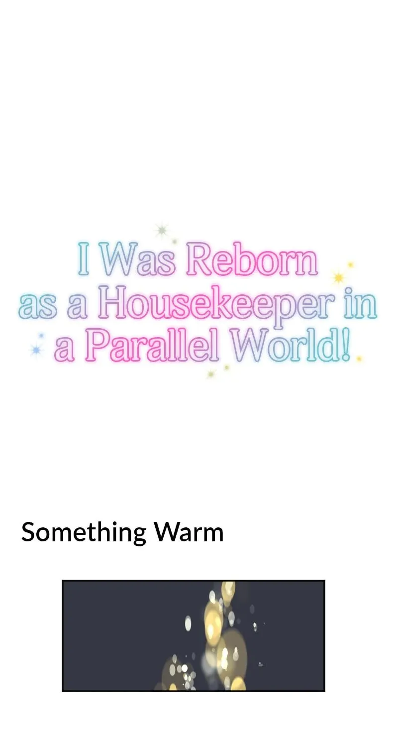 I Was Reborn as a Housekeeper in a Parallel World! Chapter 214 page 154 - 