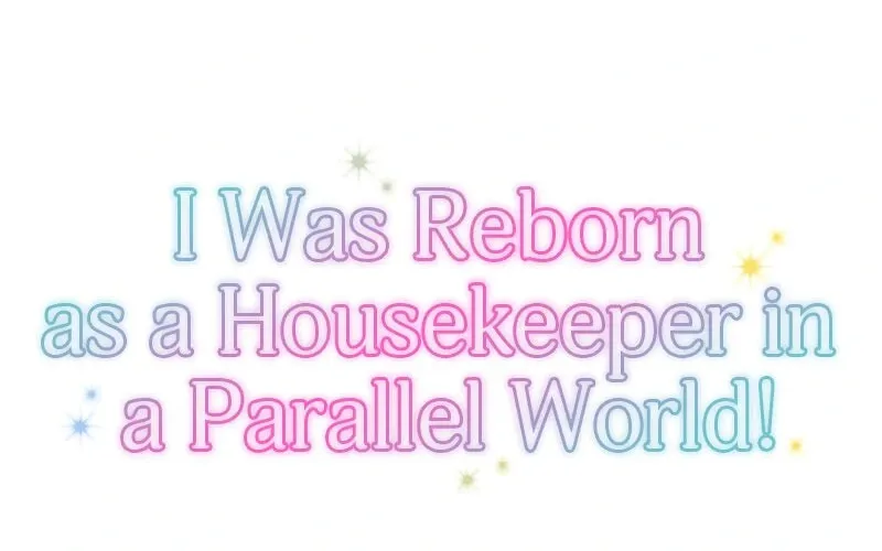 I Was Reborn as a Housekeeper in a Parallel World! Chapter 215 page 115 - 