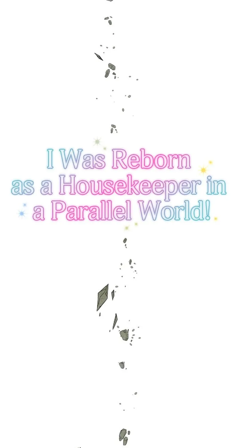 I Was Reborn as a Housekeeper in a Parallel World! Chapter 215 page 31 - 