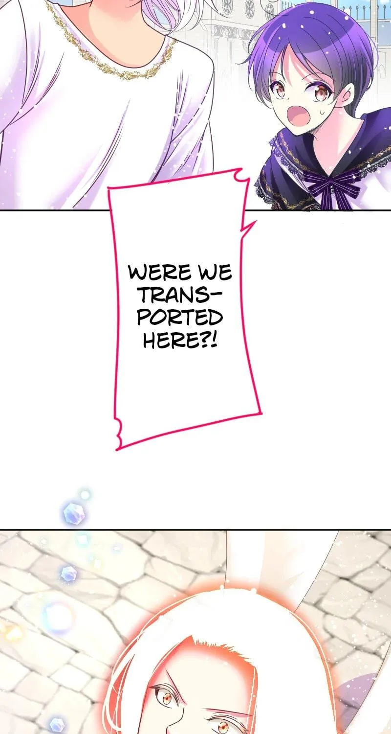 I Was Reborn as a Housekeeper in a Parallel World! Chapter 215 page 74 - 