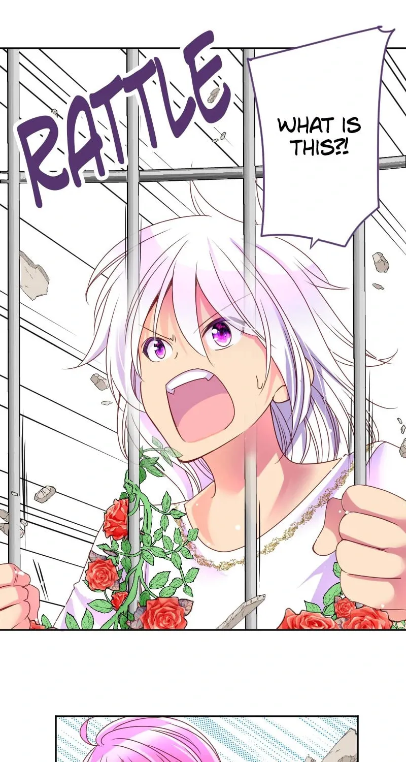 I Was Reborn as a Housekeeper in a Parallel World! Chapter 216 page 7 - 