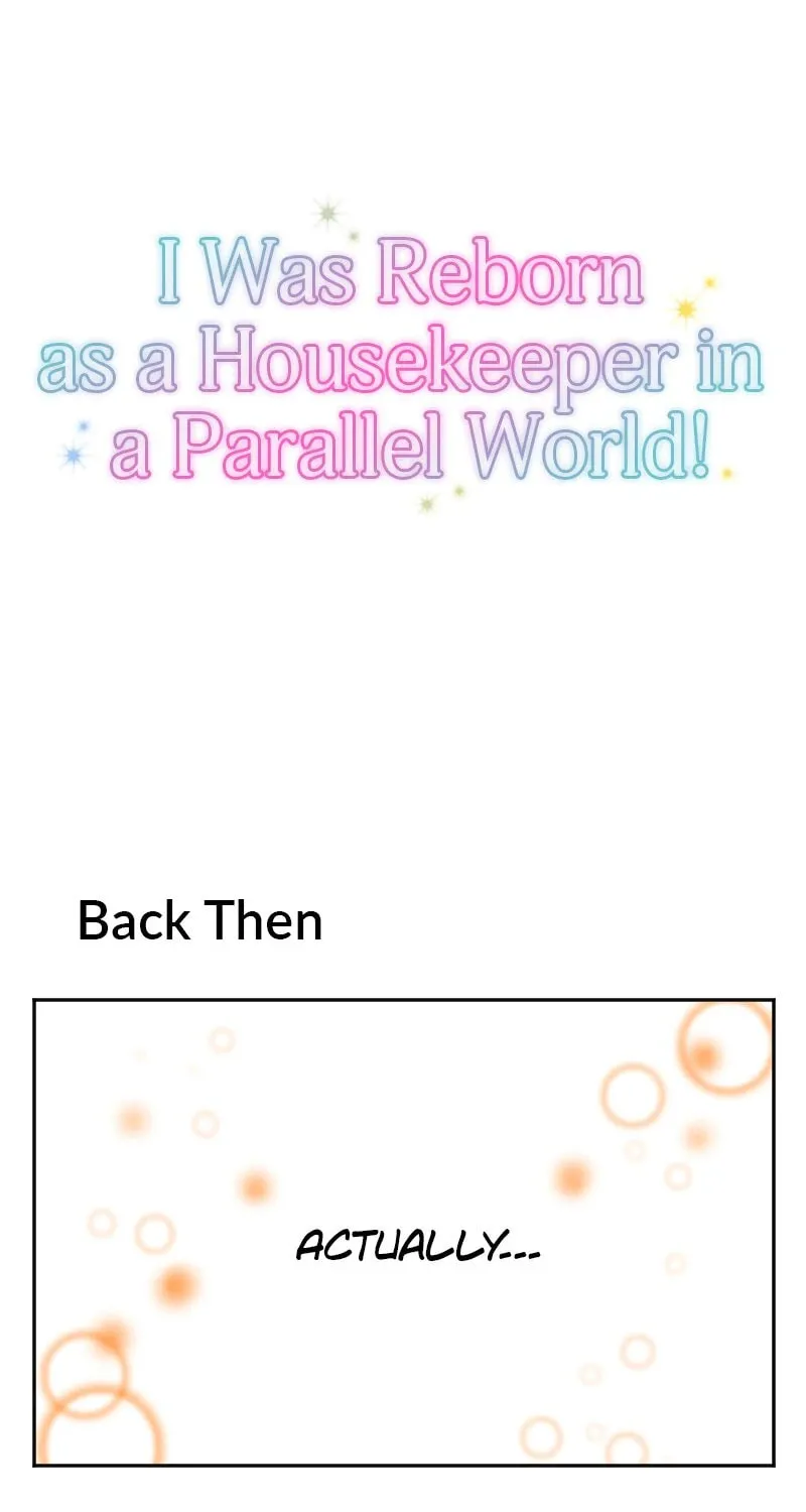 I Was Reborn as a Housekeeper in a Parallel World! Chapter 223 page 87 - 
