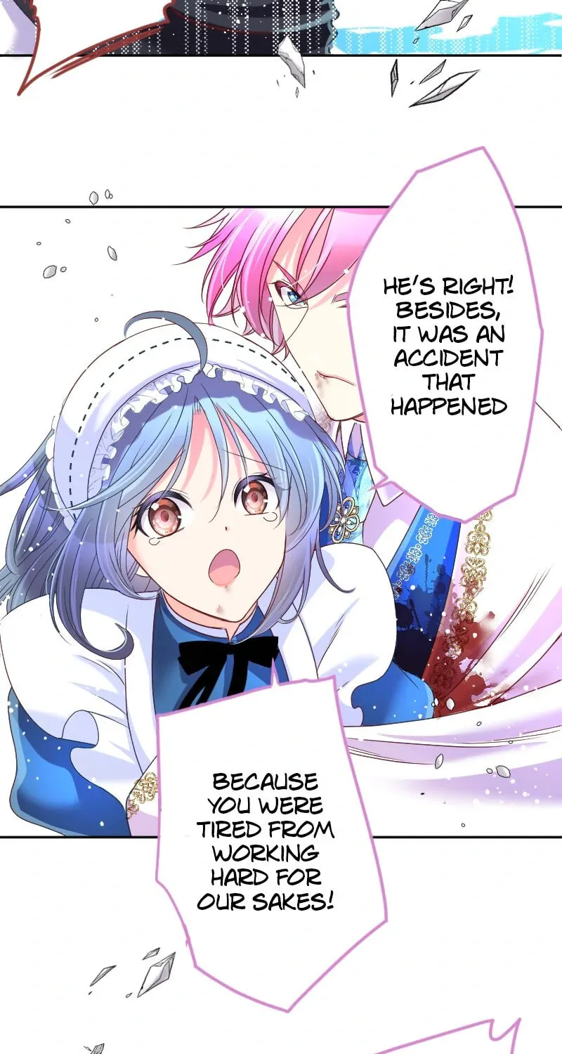 I Was Reborn as a Housekeeper in a Parallel World! Chapter 233 page 25 - 