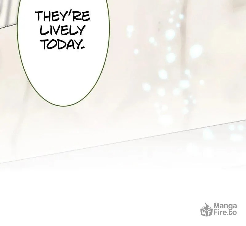 I Was Reborn as a Housekeeper in a Parallel World! Chapter 236 page 112 - 