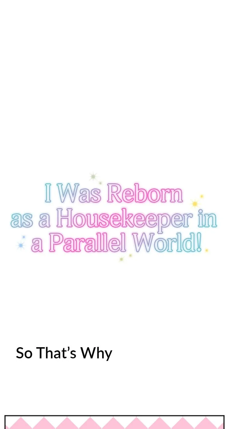 I Was Reborn as a Housekeeper in a Parallel World! Chapter 237.5 page 40 - 
