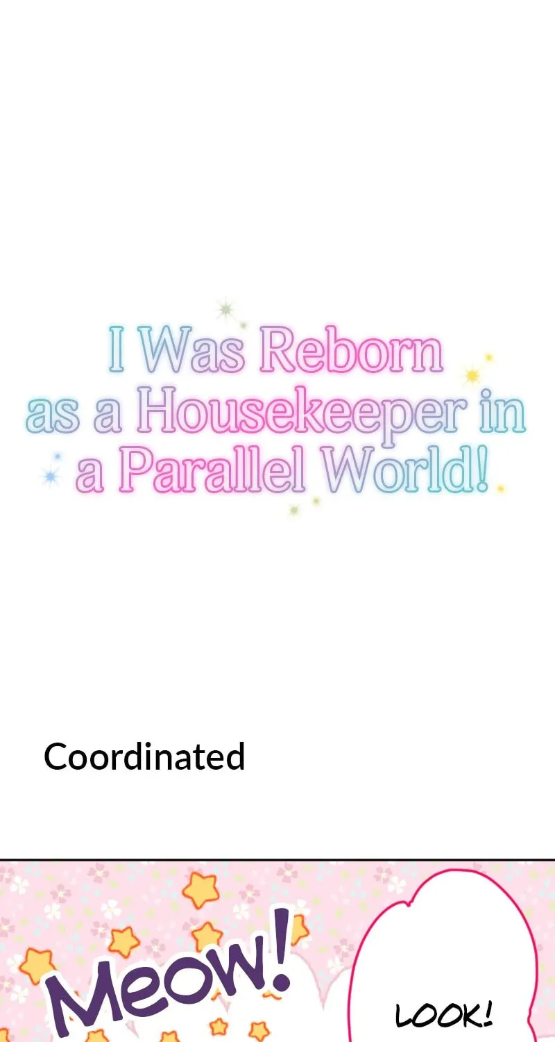 I Was Reborn as a Housekeeper in a Parallel World! Chapter 237.5 page 58 - 