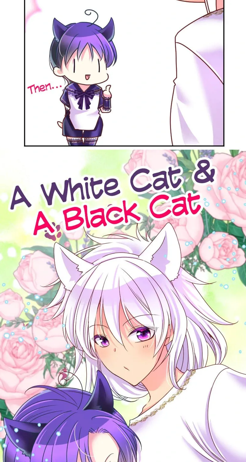 I Was Reborn as a Housekeeper in a Parallel World! Chapter 237.5 page 64 - 