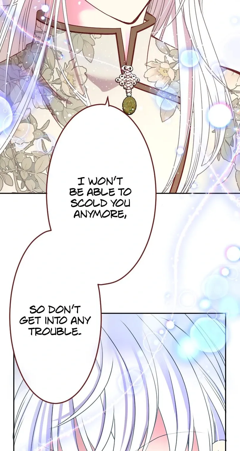 I Was Reborn as a Housekeeper in a Parallel World! Chapter 237 page 65 - 