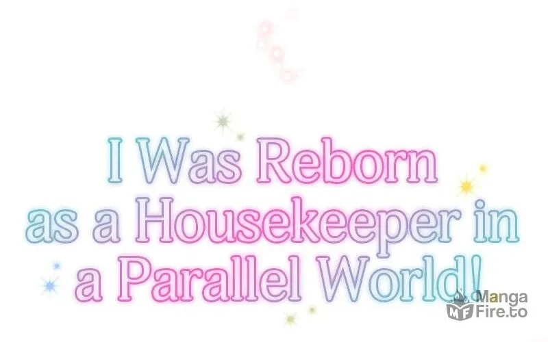 I Was Reborn as a Housekeeper in a Parallel World! Chapter 238 page 290 - 