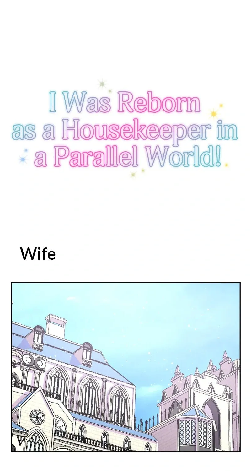 I Was Reborn as a Housekeeper in a Parallel World! Chapter 241 page 1 - 