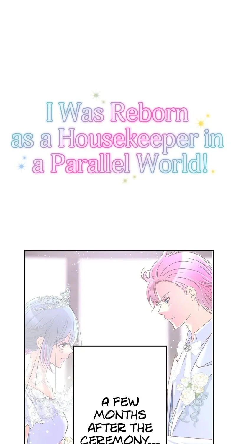 I Was Reborn as a Housekeeper in a Parallel World! Chapter 242 page 1 - 