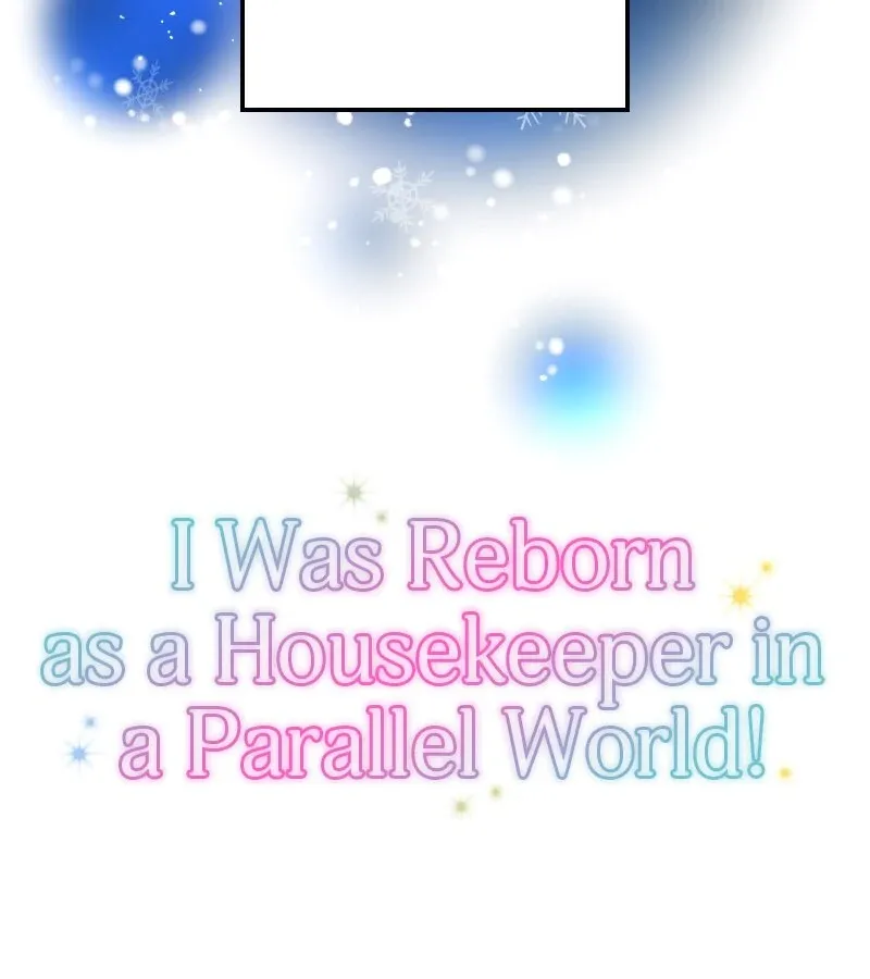 I Was Reborn as a Housekeeper in a Parallel World! Chapter 244 page 2 - 