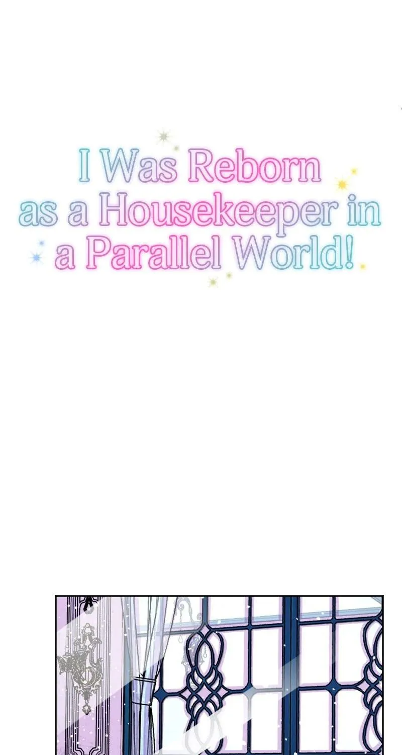 I Was Reborn as a Housekeeper in a Parallel World! Chapter 246 page 17 - 